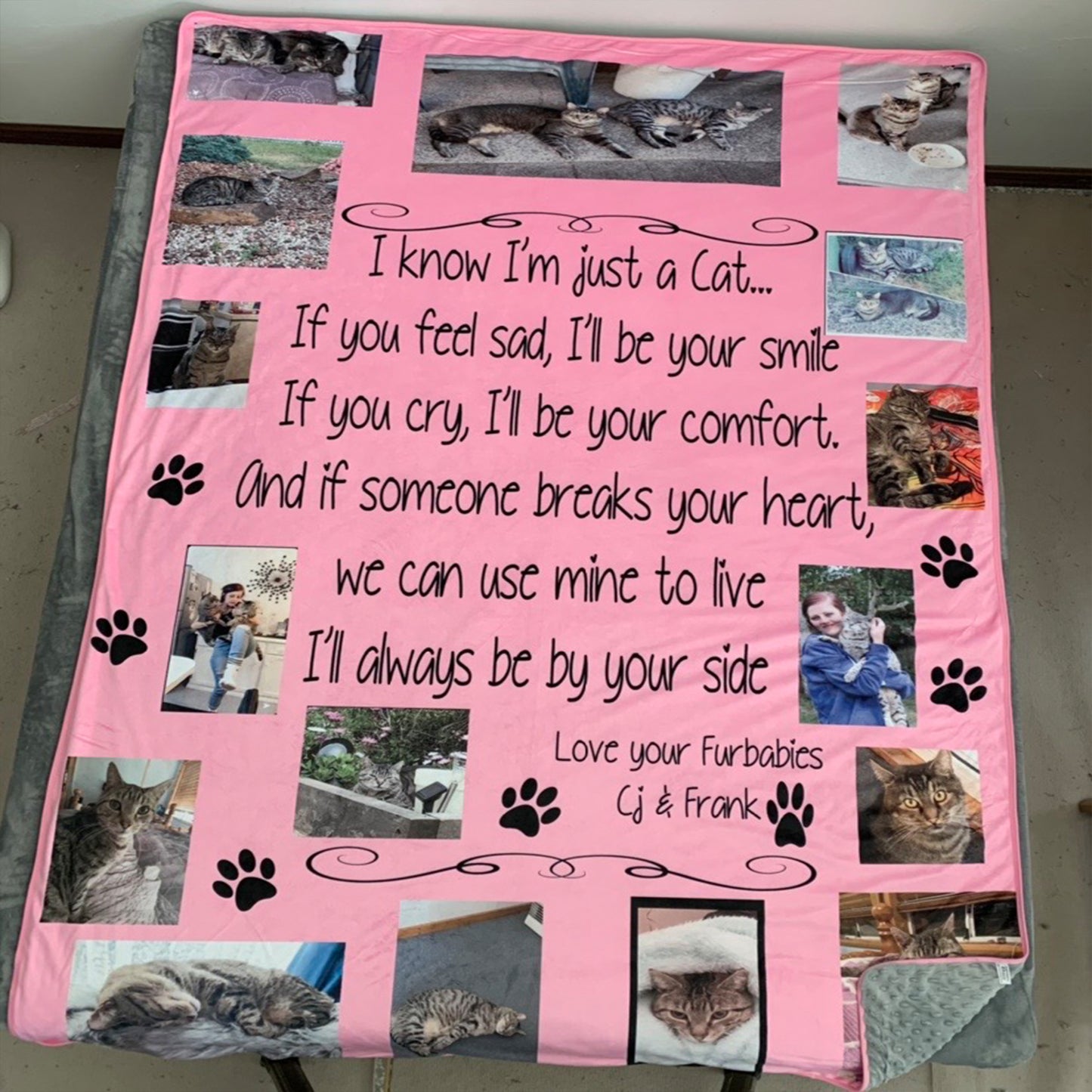 Cats Toni Mink Blanket