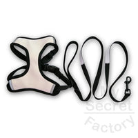 Set Pet Harness & Leash
